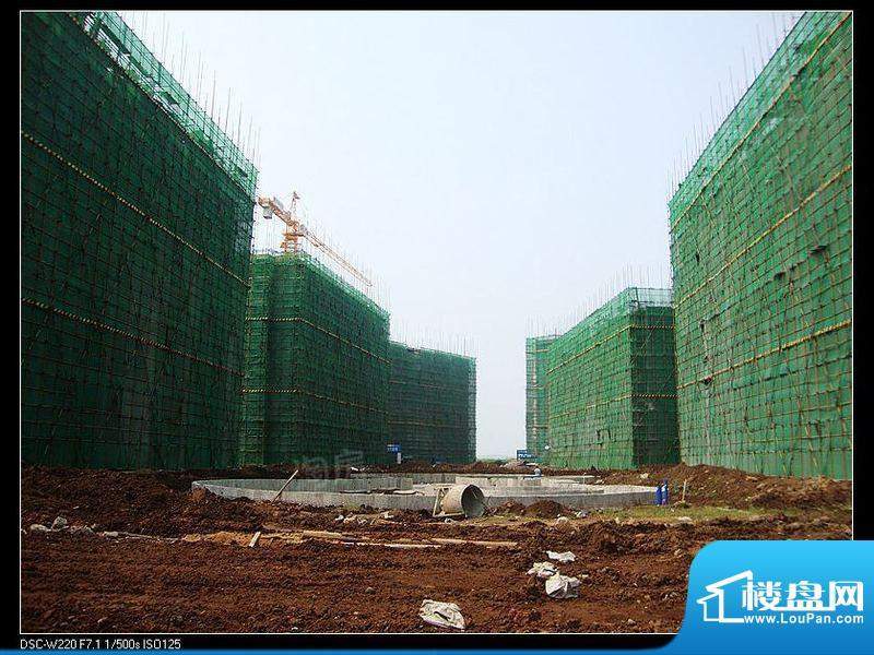 鲁能海蓝福源配套图