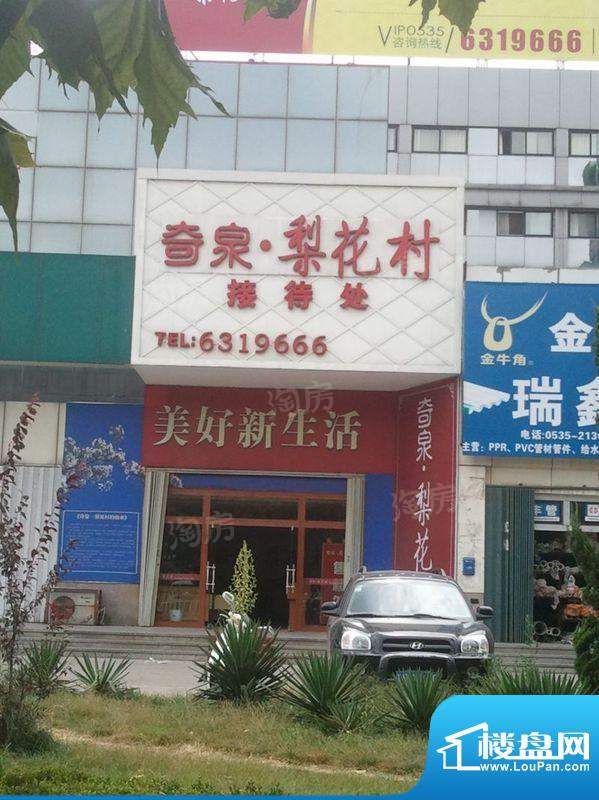 奇泉梨花村配套图