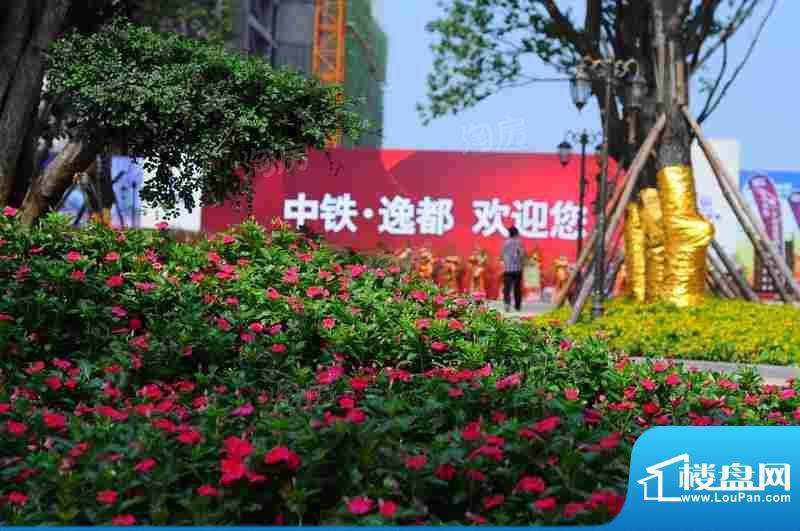 中铁逸都配套图