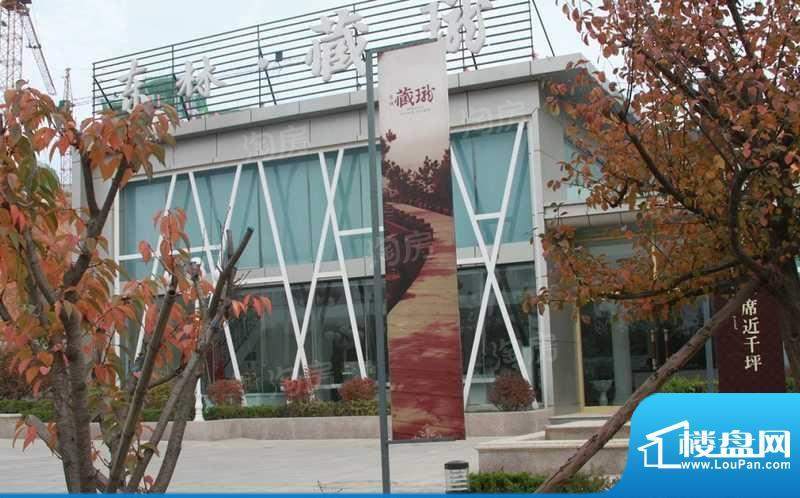 东林藏珑配套图