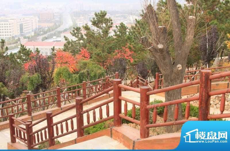 东林藏珑配套图