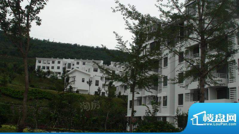 佛光山景温泉花园配套图