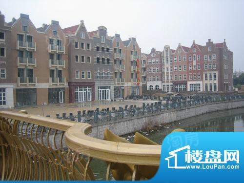 尼德兰花园配套图