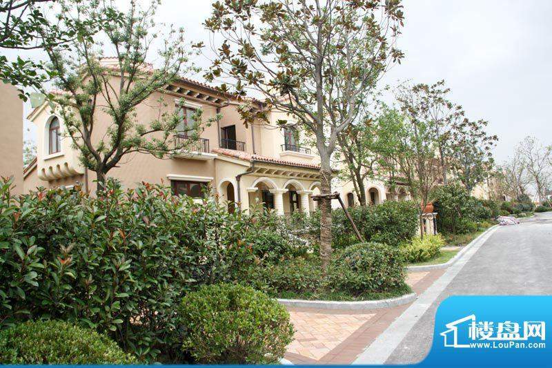 招商海廷配套图