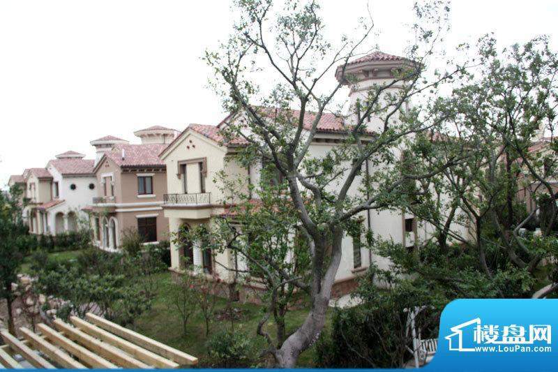 招商海廷配套图