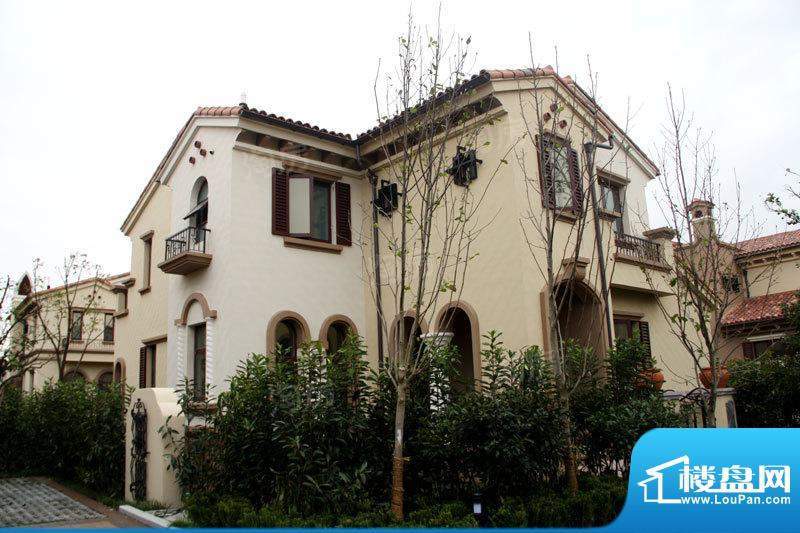 招商海廷配套图