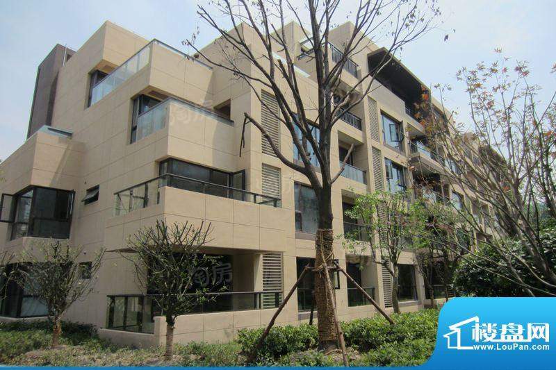 浦江坤庭配套图