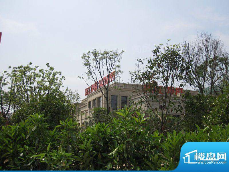 浦江坤庭配套图