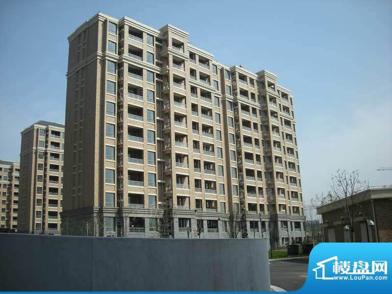 张江汤臣豪园四期配套图