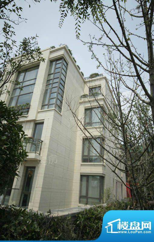 仁恒森兰雅苑别墅配套图