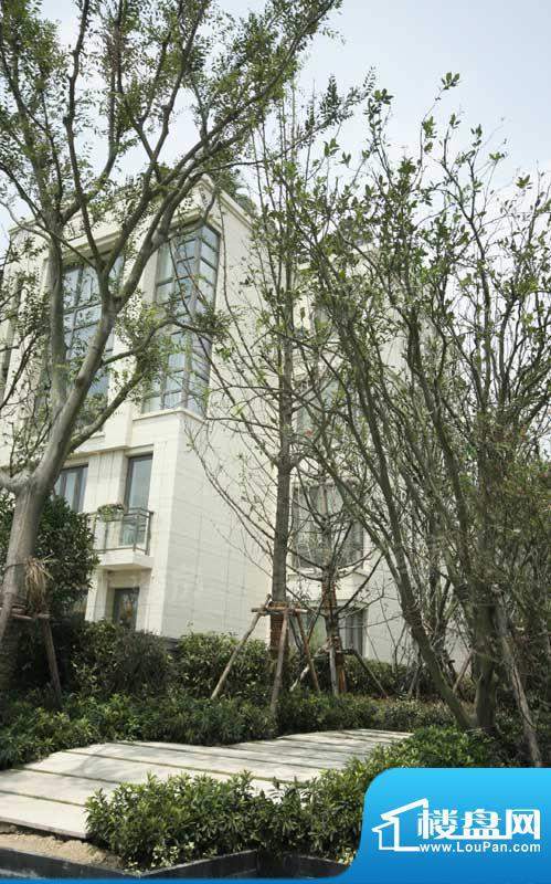 仁恒森兰雅苑配套图