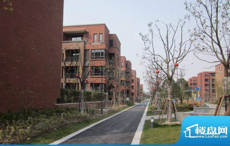 港城滴水湖馨苑别墅配套图