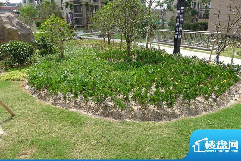 平安富邸配套图