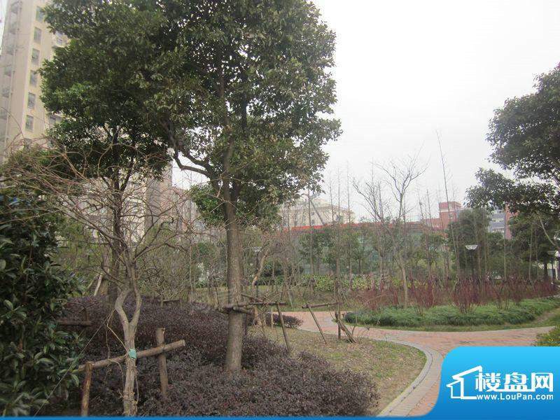 禹洲蓝爵配套图