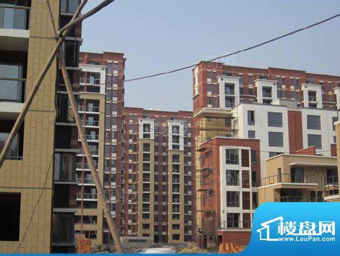 临港海滨国际花园配套图