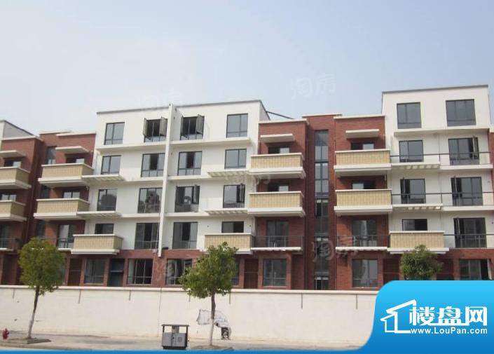 临港海滨国际花园配套图