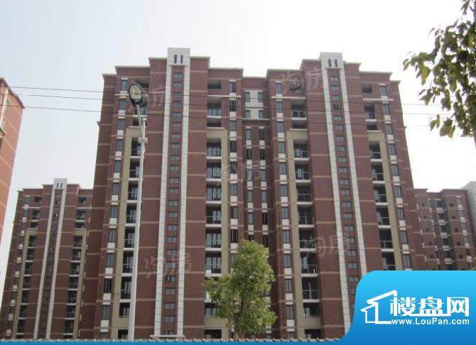 临港海滨国际花园配套图