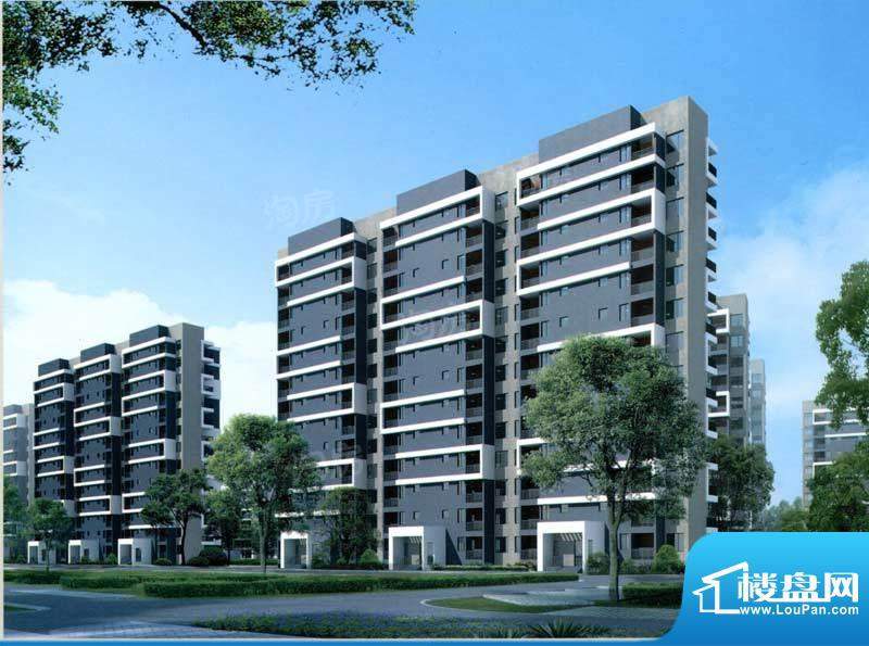 临港海滨国际花园配套图