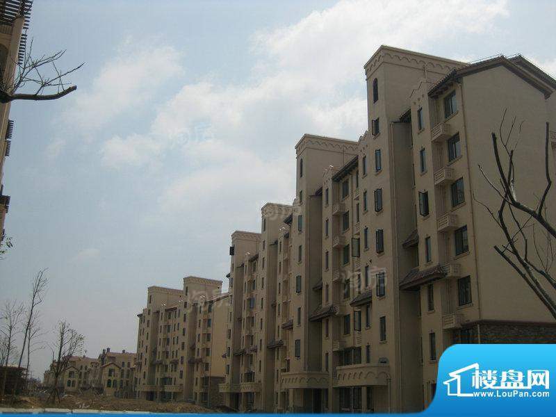 凤凰花苑配套图