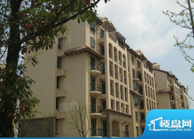 凤凰花苑配套图