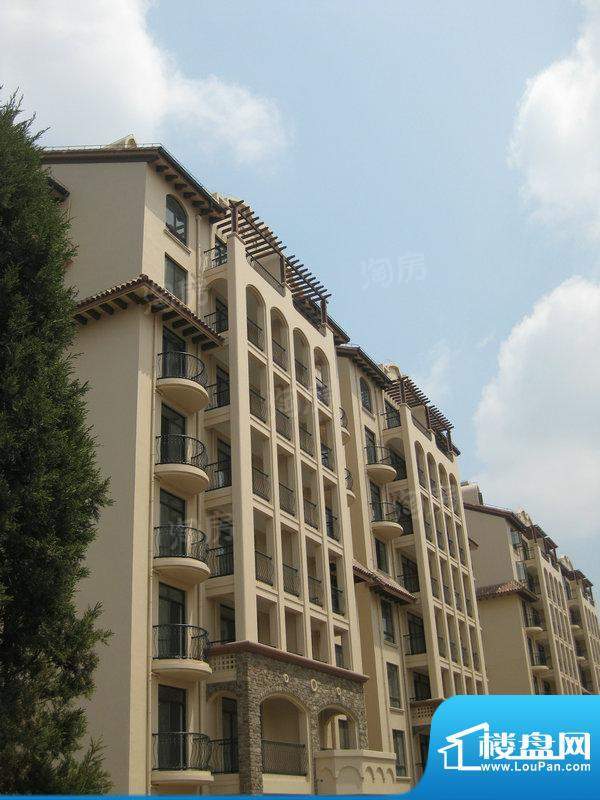 凤凰花苑配套图