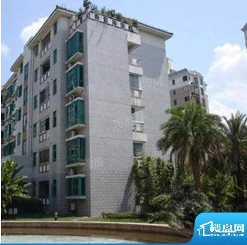 凤凰花苑配套图