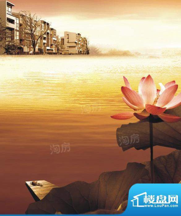 风荷丽景尚城别墅配套图