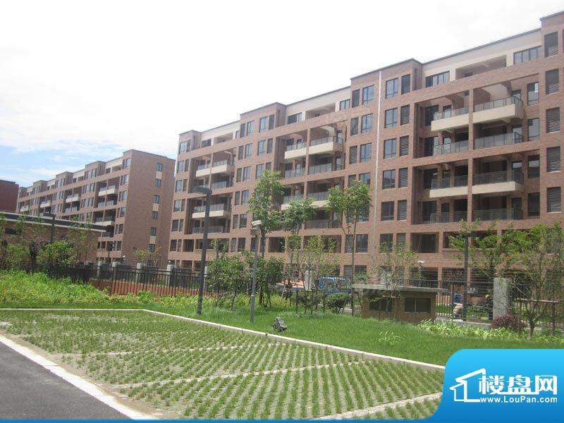 港城滴水湖馨苑配套图