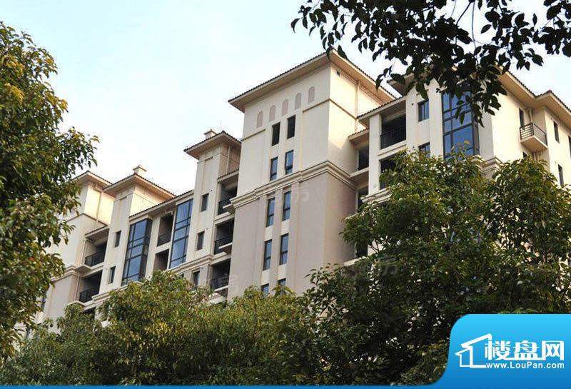 佳兆业珊瑚湾配套图