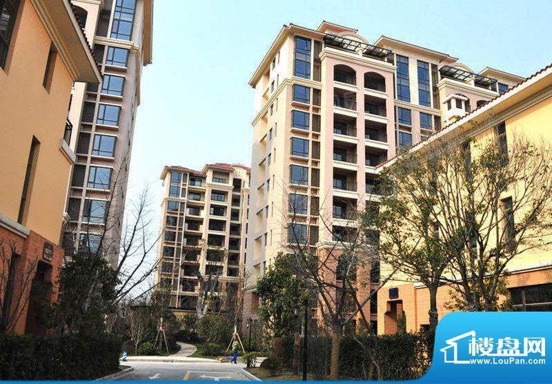 佳兆业珊瑚湾配套图