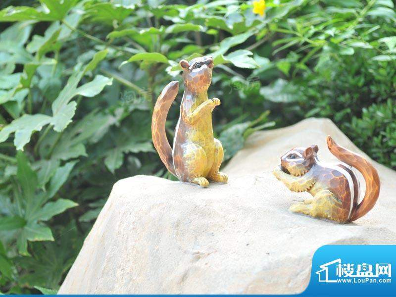 佳兆业珊瑚湾配套图