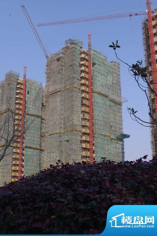 丽江苑配套图