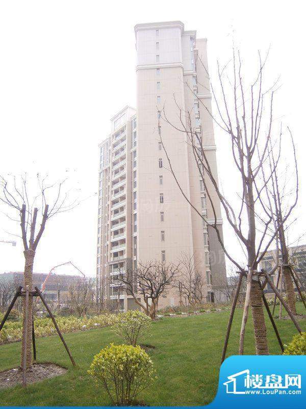 日月光伯爵天地配套图