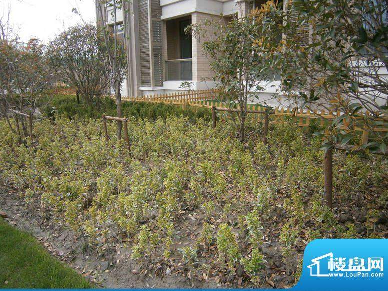 日月光伯爵天地配套图