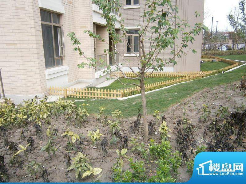 日月光伯爵天地配套图