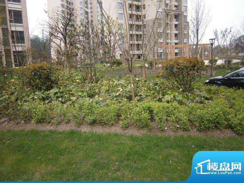 日月光伯爵天地配套图