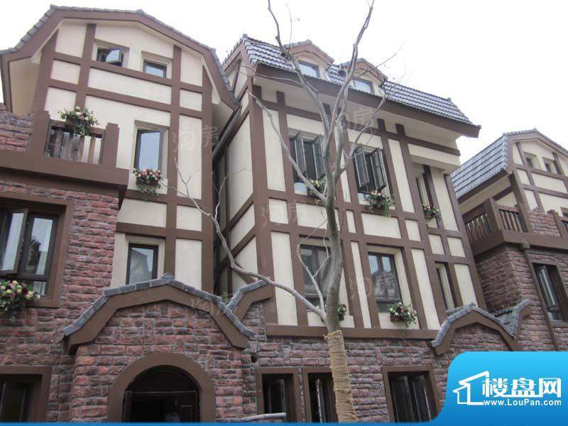 绿地富强新苑别墅配套图