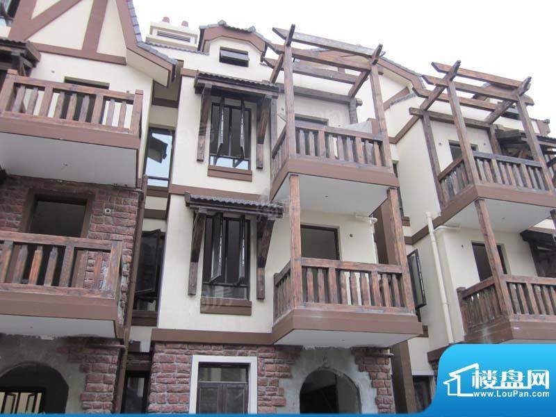 绿地富强新苑别墅配套图