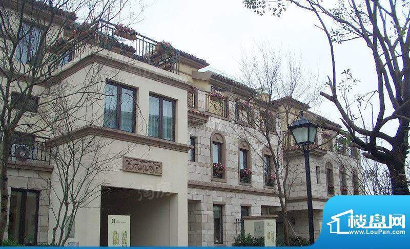 绿地富强新苑别墅配套图