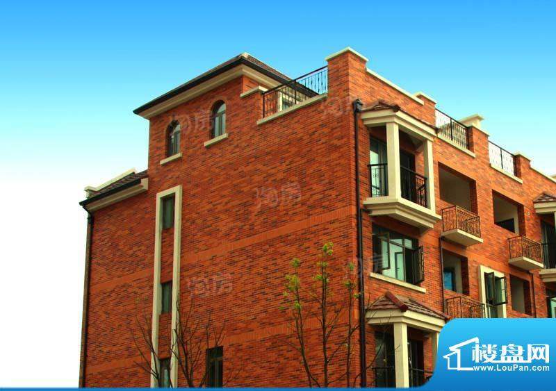 新弘国际城别墅配套图