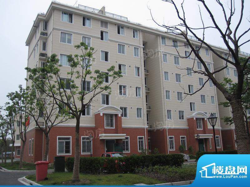 绿色家园配套图