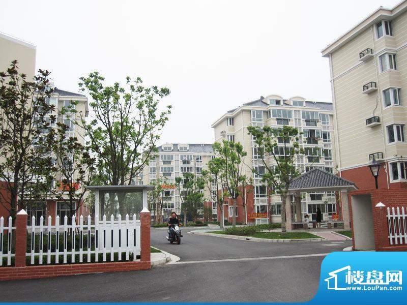 绿色家园配套图