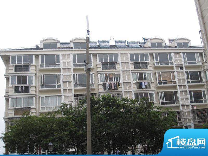 绿色家园配套图