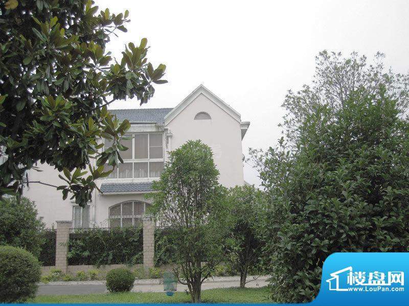 绿色家园配套图