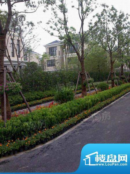 凯迪·枫丹白露别墅三期配套图