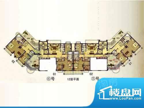 户型图片