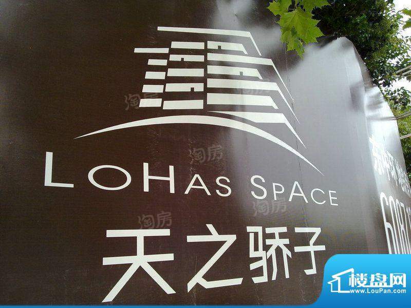 天之骄子配套图