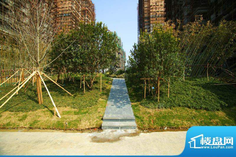 合景峰汇国际配套图