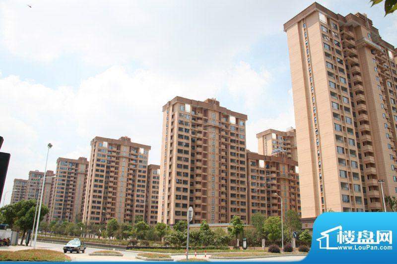 合景峰汇国际配套图