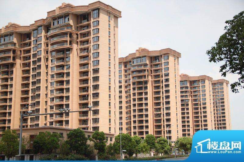 合景峰汇国际配套图